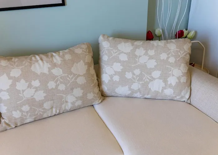 아파트 Supreme 발치크